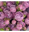 Букет из 9 кустовых пионовидных роз Лавендер баблс  3
