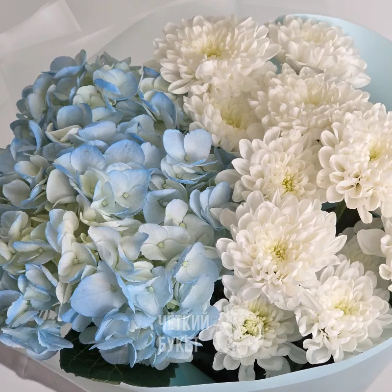 Букет из белых махровых хризантем и голубой гортензии 4