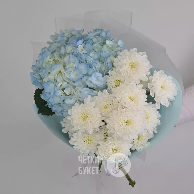 Букет из белых махровых хризантем и голубой гортензии 3