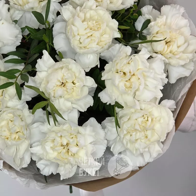 Букет из 11 белых гвоздик с зеленью фисташки в крафт  3