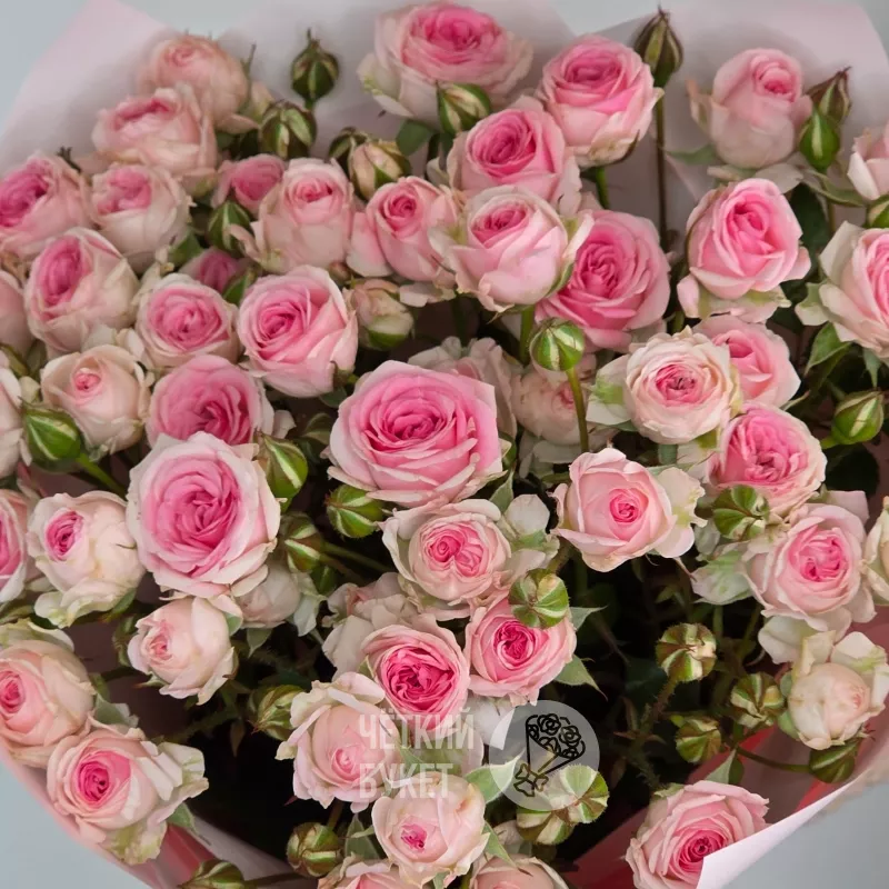 Букет из 9 кустовых розовых роз Кейтлин 4