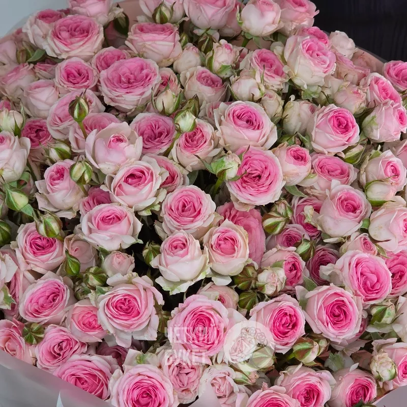 Букет из 25 кустовых розовых роз Кейтлин 3