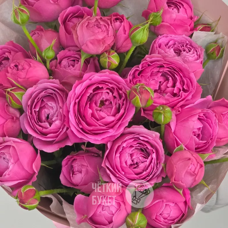 Букет из 5 кустовых малиновых пионовидных роз Мисти Баблс 2