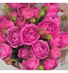 Букет из 5 кустовых малиновых пионовидных роз Мисти Баблс 2