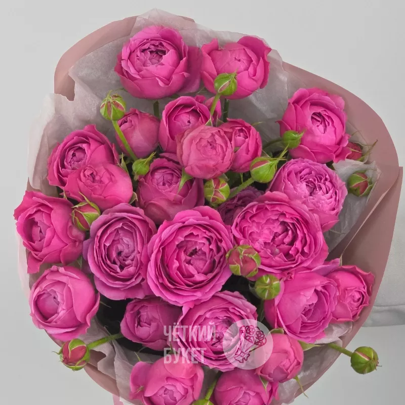 Букет из 5 кустовых малиновых пионовидных роз Мисти Баблс 3