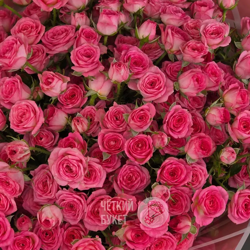 Букет из 25 розовых кустовых роз Пинк Хеопс 3