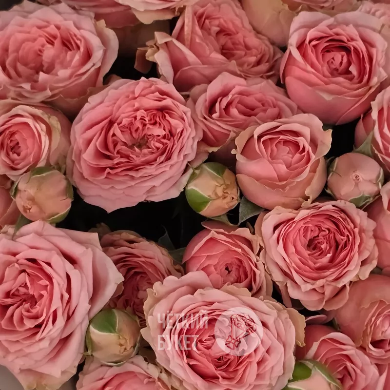Букет из 9 розовых кустовых роз Спешл Дайменшен 3