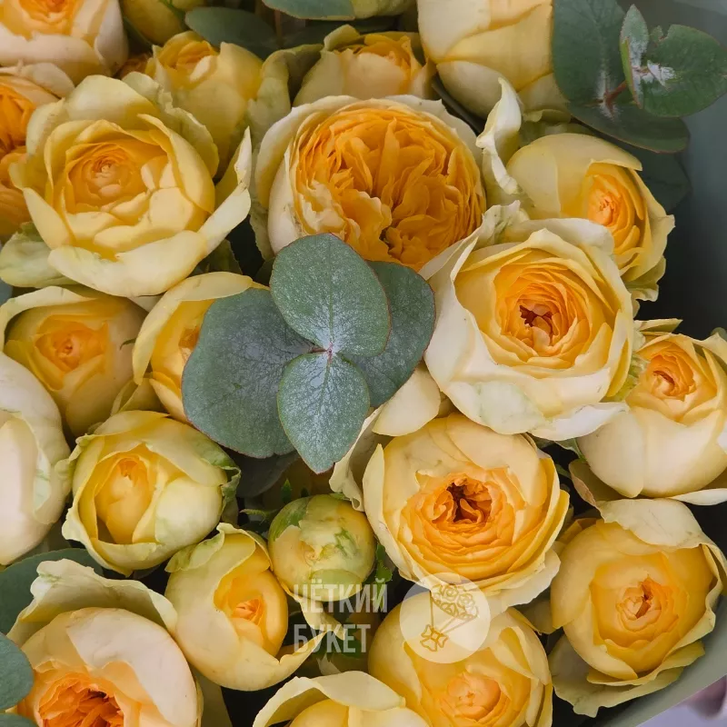 Букет из 9 желтых пионовидных роз Сильва Санни с эвкалиптом 2