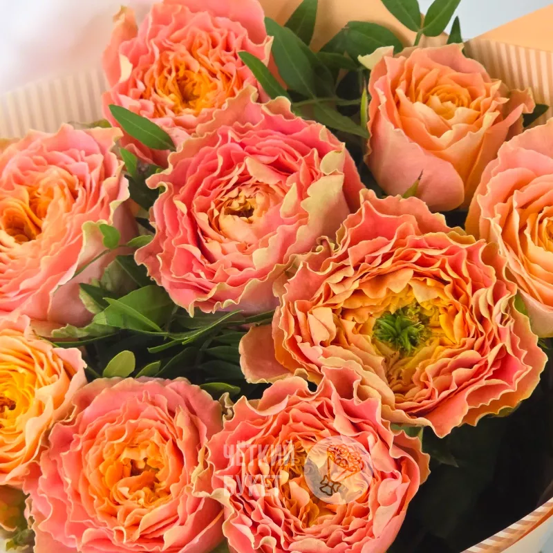 Букет из 9 роз Луиза с фисташкой 3