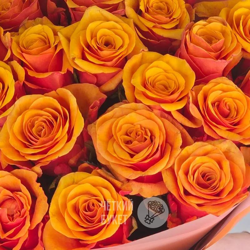 Букет из 25 оранжевых роз Испания 3