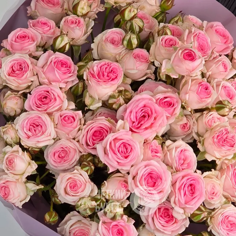 Букет из 15 кустовых розовых роз Кейтлин 3
