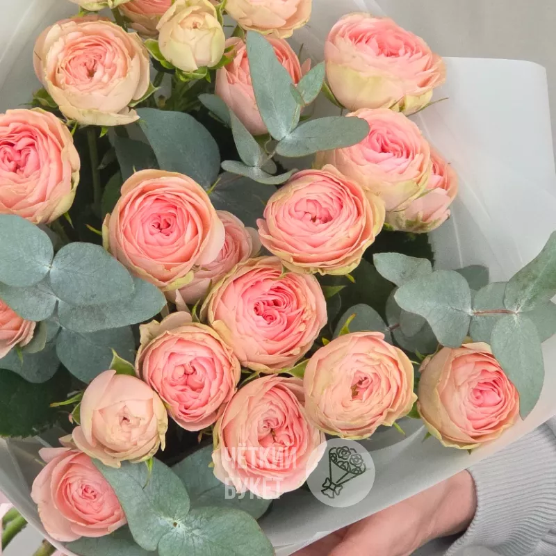 Букет комплимент из 5 кустовых роз Кети с эвкалиптом 3