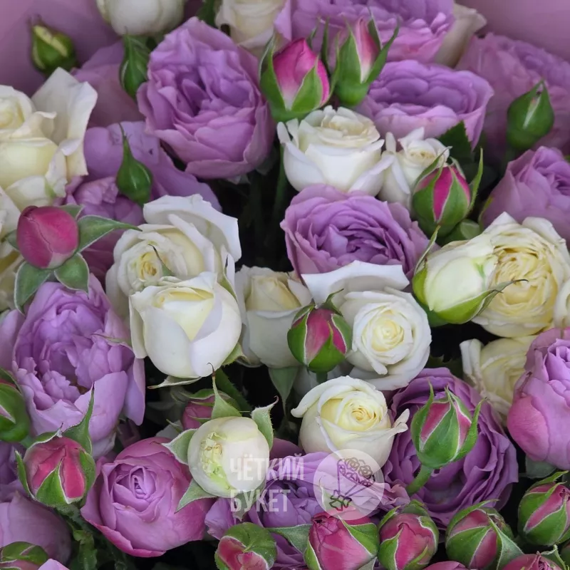 Букет из 15 кустовых белых и сиреневых роз Лавендер Беларусь 3