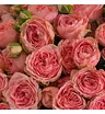 Букет из 15 розовых роз Спешл Дайменшен 3