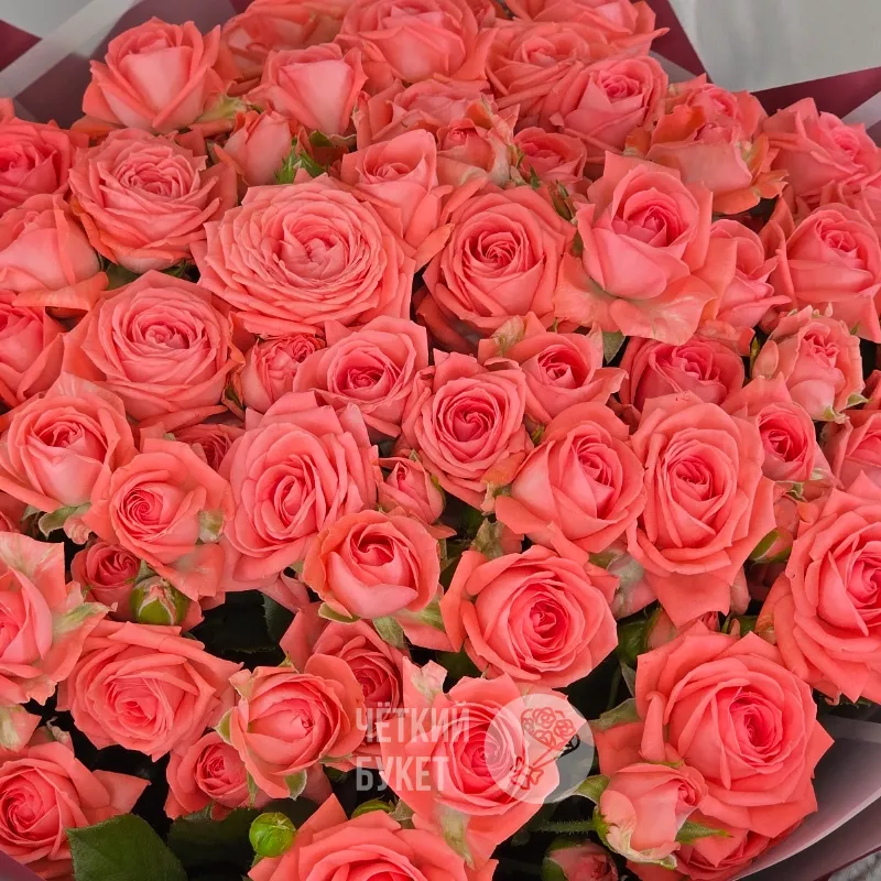 Букет из 21 коралловой кустовой розы Барбадос 3