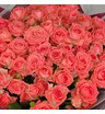 Букет из 21 коралловой кустовой розы Барбадос 3