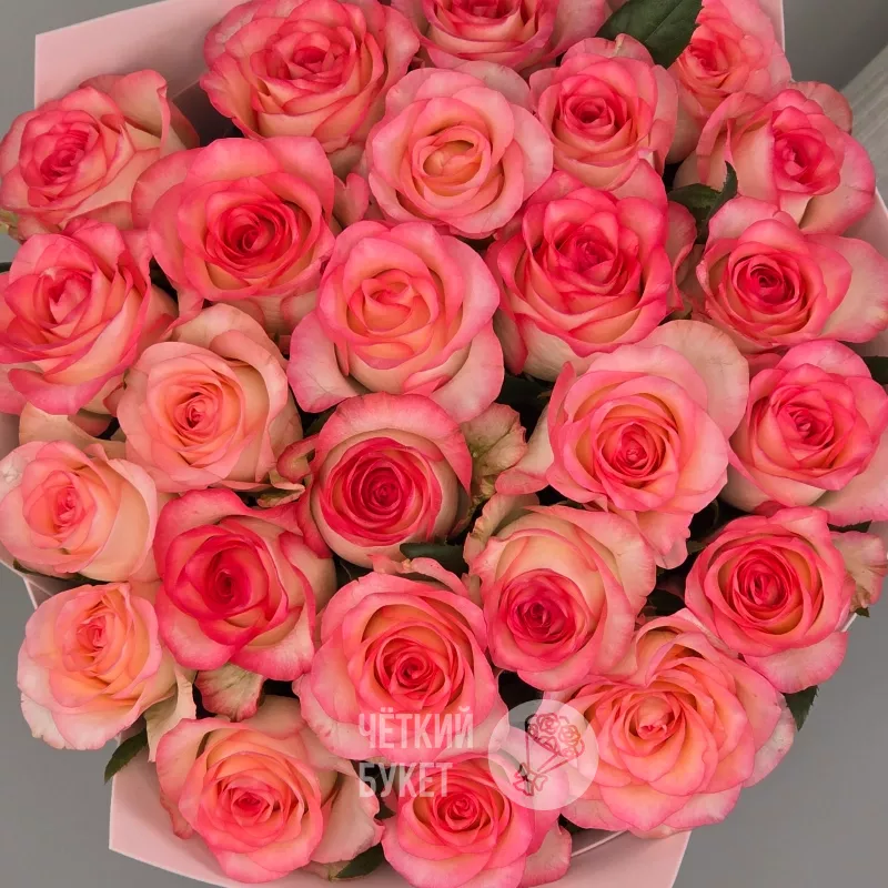 Букет из 25 бело-розовых роз Джумилия  3