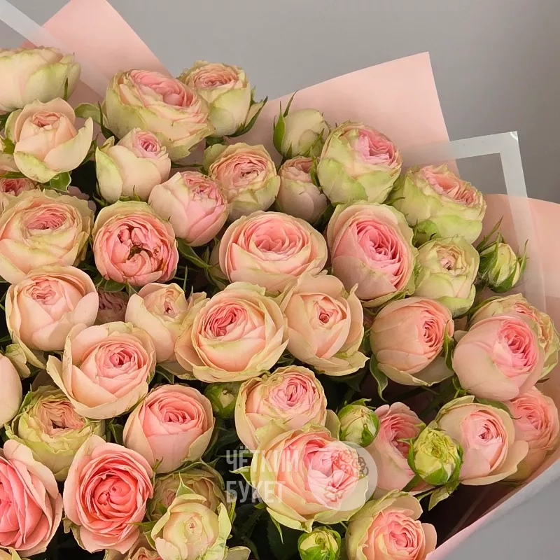 Букет из 15 кустовых роз Кети 3