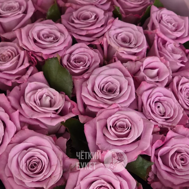 Букет из 25 сиреневых фиолетовых роз Маритим  3