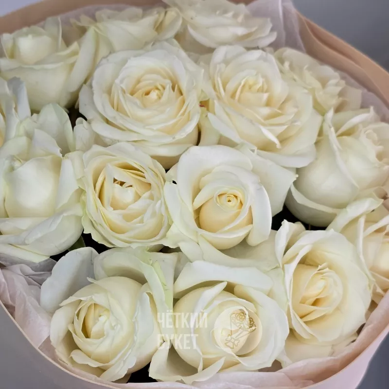 Букет из 15 белых роз в кремовом оформлении 3