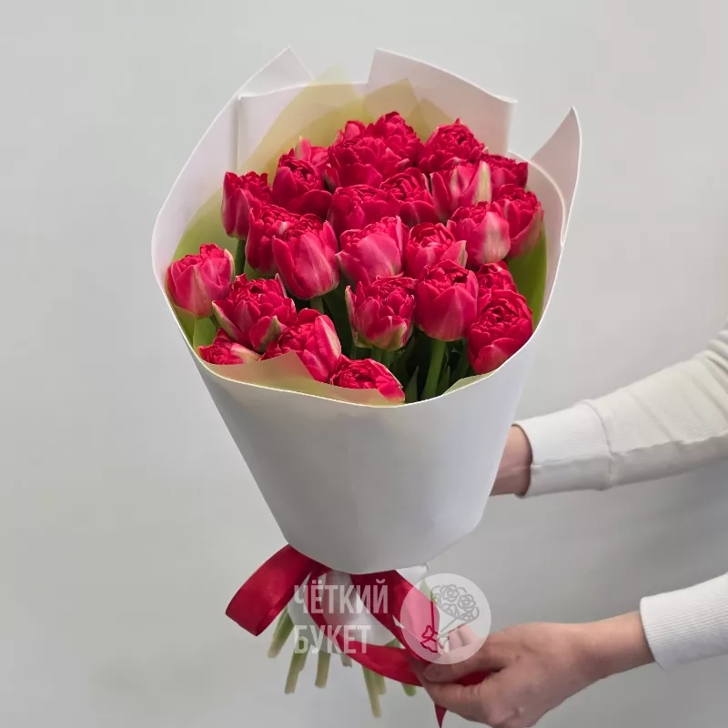 Букет из 25 красных пионовидных тюльпанов в белом 2