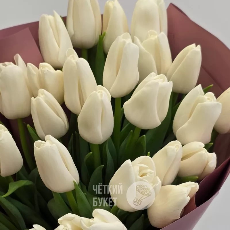 Букет из 25 белых тюльпанов Весна 3