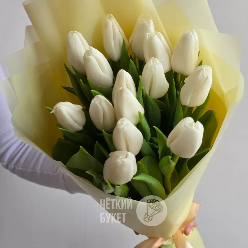 Букет из 15 белых тюльпанов весенний 2