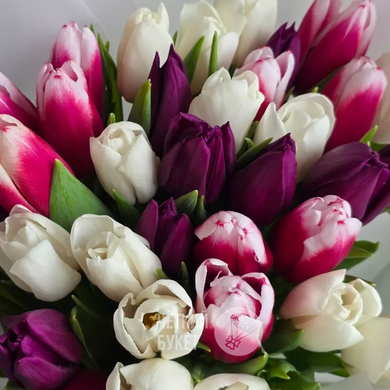 Букет из 35 тюльпанов микс белый фиолетовый  1