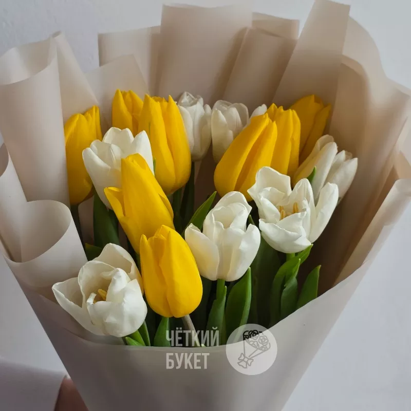 Букет из 15 белых и желтых тюльпанов 2