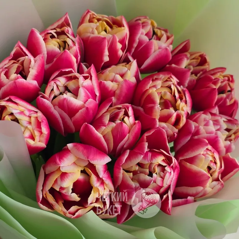 Букет из 15 пионовидных тюльпанов Колумбус 3