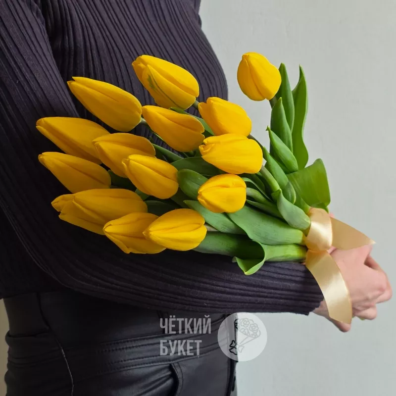 Букет из 15 желтых тюльпанов под ленту 1
