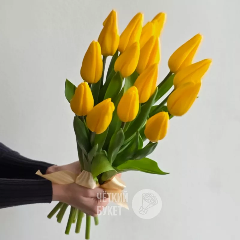 Букет из 15 желтых тюльпанов под ленту 2