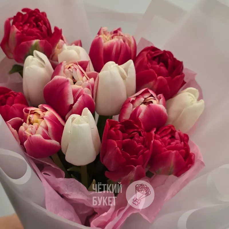 Букет из 15 тюльпанов красно белый микс в стильном оформлении 1