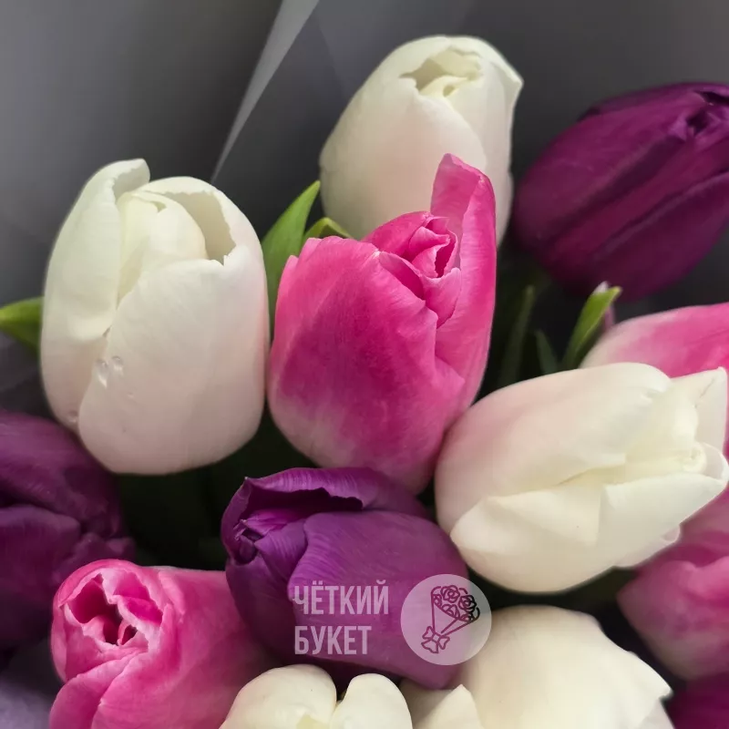 Букет из 15 тюльпанов микс белый фиолетовый розовый в стильном оформлении 3