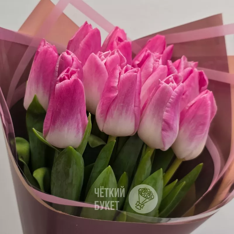Букет из 15 розовых тюльпанов  1