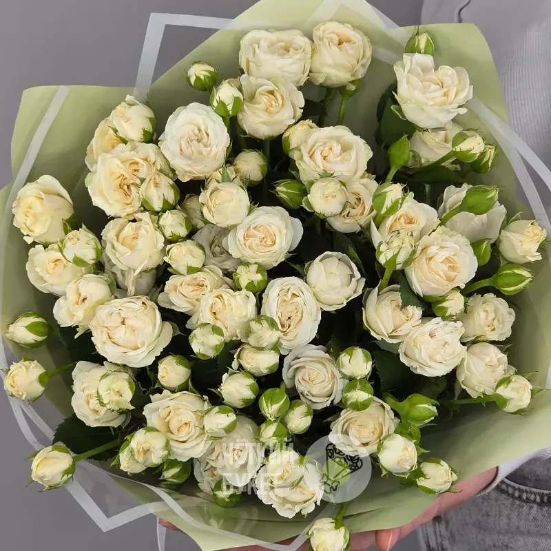 Букет из 15 белых кустовых роз Беларусь в зеленом 3