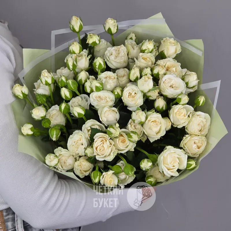 Букет из 15 белых кустовых роз Беларусь в зеленом 1