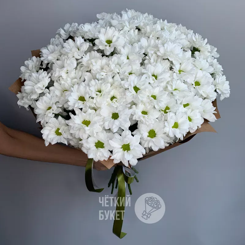 Монобукет из 15 белых ромашковых  кустовых хризантем 1