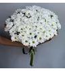 Монобукет из 15 белых ромашковых  кустовых хризантем 1