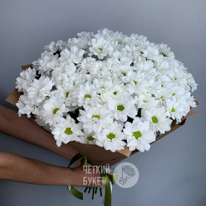 Монобукет из 15 белых ромашковых  кустовых хризантем