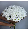 Монобукет из 15 белых ромашковых  кустовых хризантем