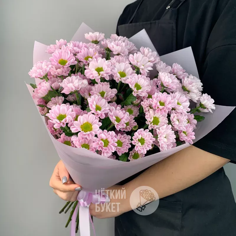 Монобукет из 9 сиреневых кустовых хризантем сантини 