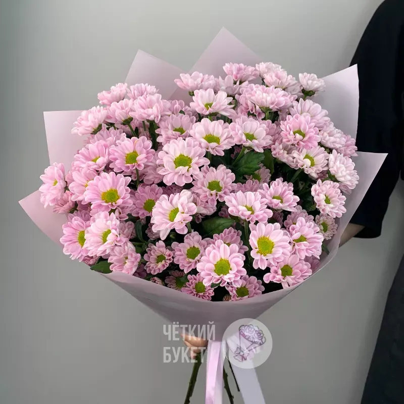 Монобукет из 9 сиреневых кустовых хризантем сантини  2