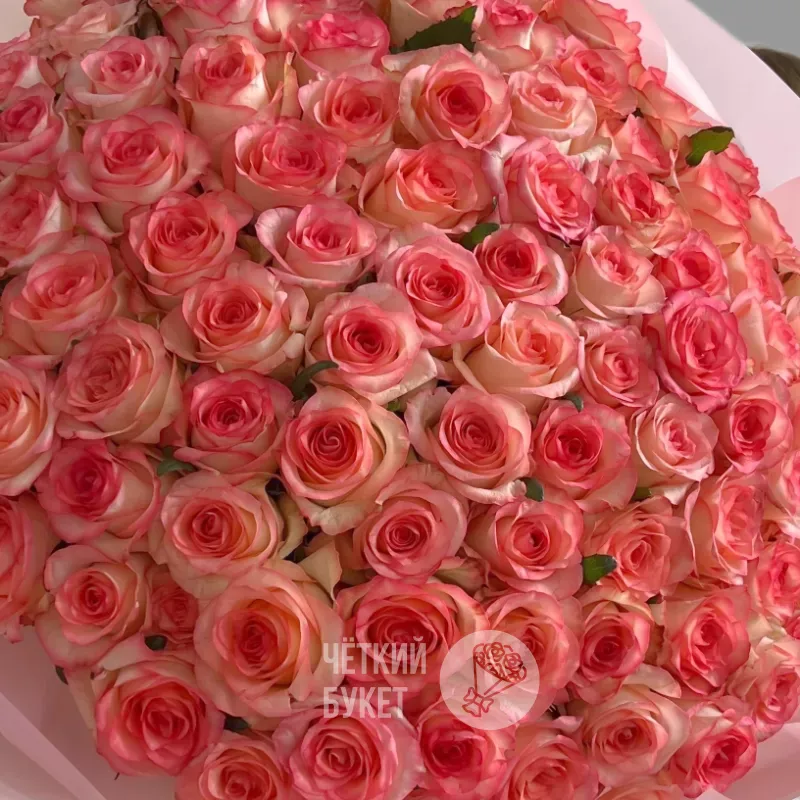 Букет из 101 белорозовой розы Джумилия 2