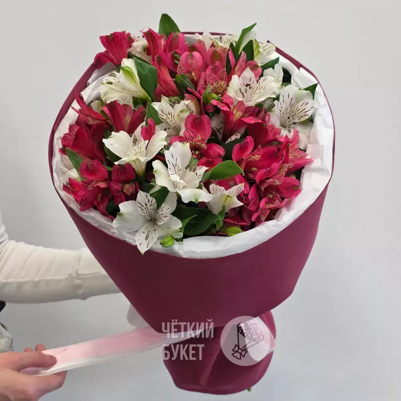 Монобукет из 11 белых и розовых малиновых альстромерий в бордовом 2