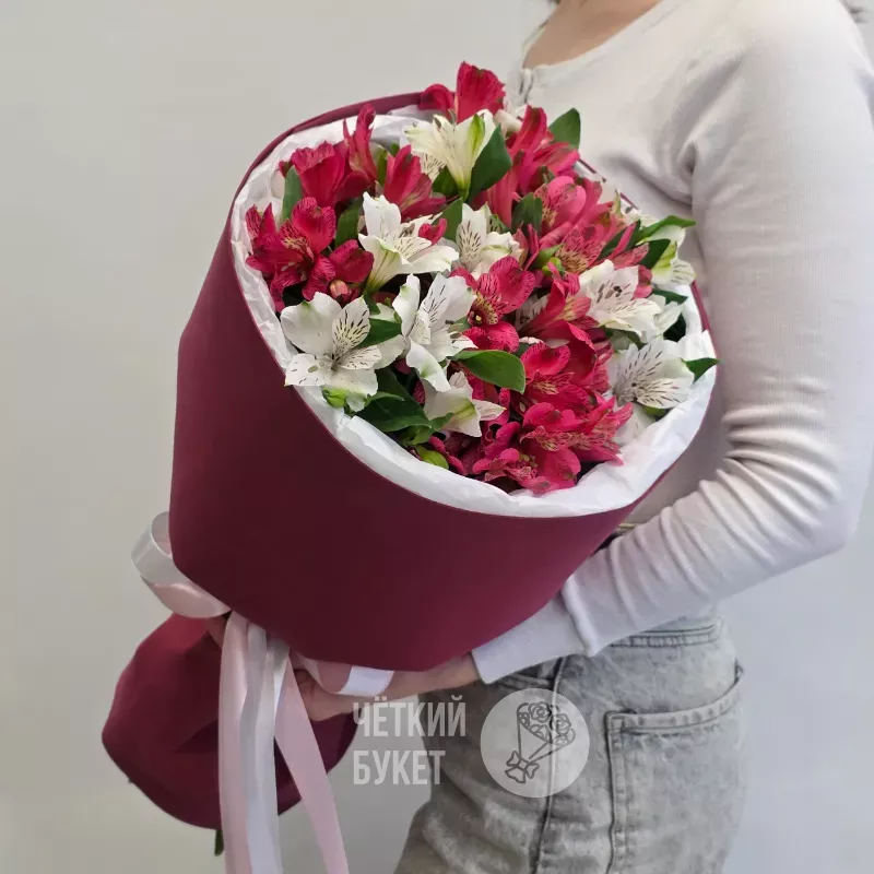 Монобукет из 11 белых и розовых малиновых альстромерий в бордовом
