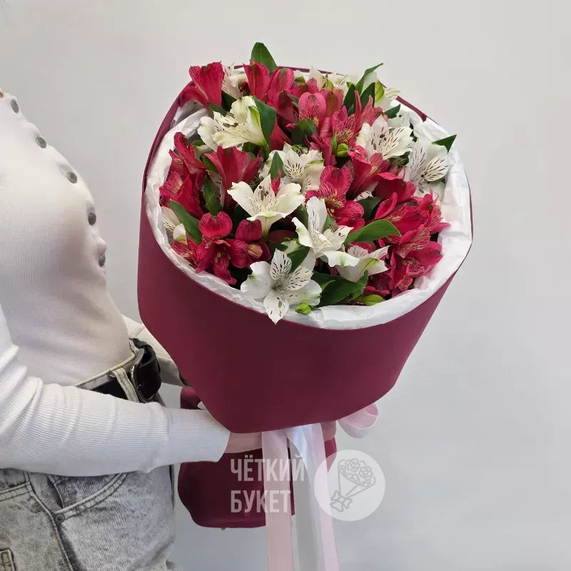 Монобукет из 11 белых и розовых малиновых альстромерий в бордовом 1