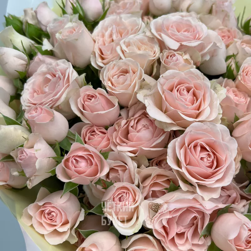 25 нежно-розовых кустовых роз Полина 3