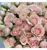 25 нежно-розовых кустовых роз Полина 3