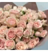 15 кустовых нежно-розовых роз Полина 3